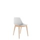 Polypropylene Shell Chair Beech Wooden 4-Leg Frame